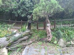 -草庵摩尼教遗址公园