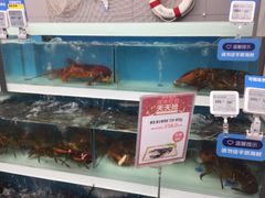 -盒马鲜生(大成店)