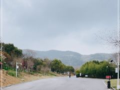 -习家池