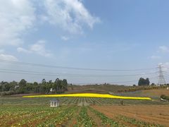 -紫颐香薰山谷景区