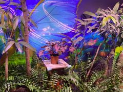 -正佳雨林生态植物园