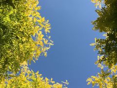 -西青郊野公园