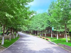 -长白岛森林公园
