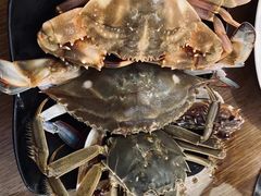 -青岛蓝海御华大饭店（金沙滩店）·蓝钻国际美食自助百汇
