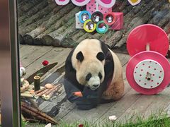 -大连森林动物园