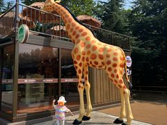 -大连森林动物园