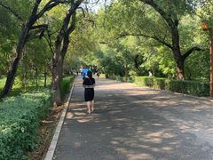 -长春市南湖公园