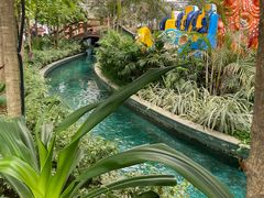 -南宫五洲植物乐园