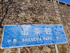 -梧桐山风景名胜区