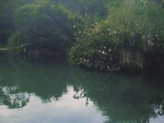 -花溪公园