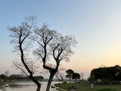 -滆湖低碳生态公园