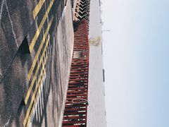 -上海滨江森林公园
