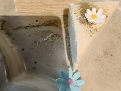 -耶里夏丽·丝路新疆菜·清真食品(徐汇南丹东路臻选店)