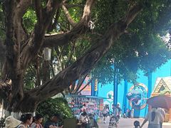 -海合安成都极地海洋公园