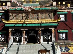 -塔公寺