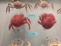 -天津自然博物馆