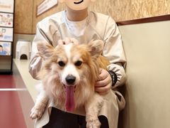 -和它·交个朋友·狗咖猫咖(爱琴海店)