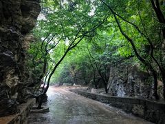 -北京上方山国家森林公园