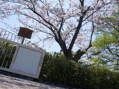-鹤冈八幡宫