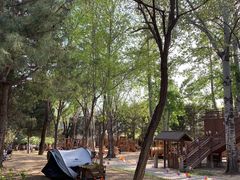 -南宫五洲植物乐园