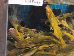 -胖姐渔村(中源大道店)