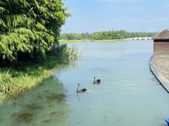 -苏州东太湖生态园