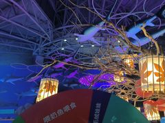 -烟台海昌鲸鲨海洋公园