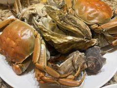 -禾斗海鲜自助(市南银座店)