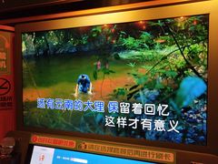 -太空球乐园