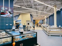 -盒马X会员店(王府井奥莱UP TOWN店)