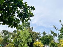 -云里小坐·海泉湾·团建·宴席·下午茶(金堂海泉湾店)