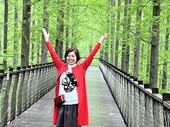 -黄海国家森林公园