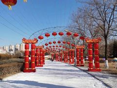 -沈阳奥体冰雪嘉年华