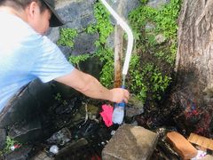 -阳台山自然风景区