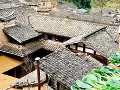 -杨家堂村