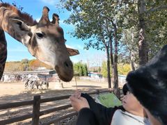 -大连森林动物园