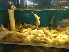 水产区-福娣·金沙银贝海鲜火锅