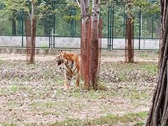 -秦皇岛野生动物园