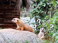 -云南野生动物园