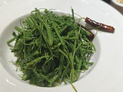 -白家餐厅(徐家汇店)