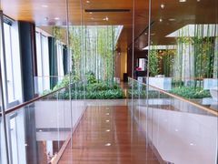 -广州富力君悦大酒店空中花园