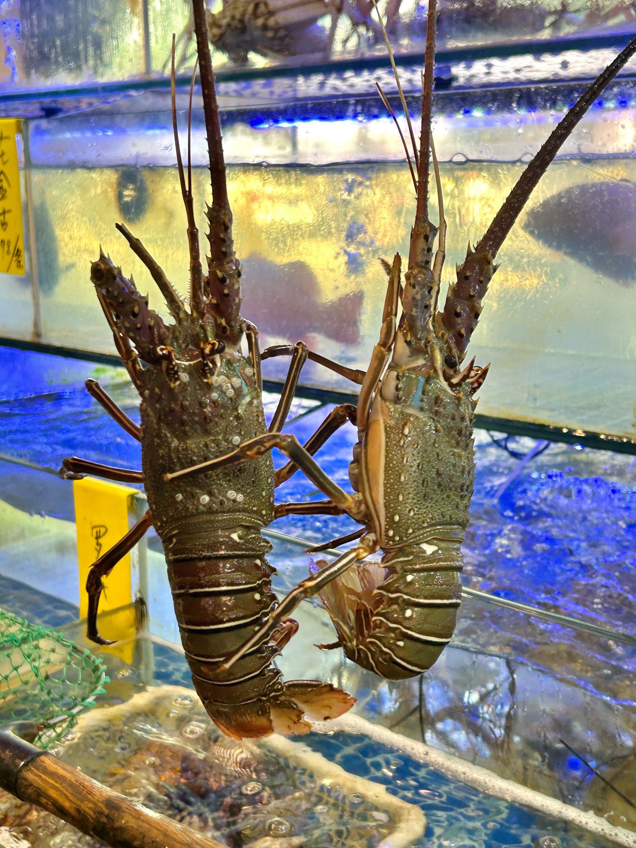 空中仰卧起坐的小青龙什么水平啊