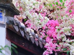 -深圳国际园林花卉博览园