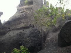 -峡谷浮石林景区