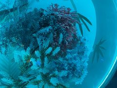 -秦皇岛新澳海底世界