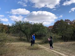 -五角枫生态旅游景区