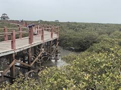 -北海金海湾红树林生态旅游区