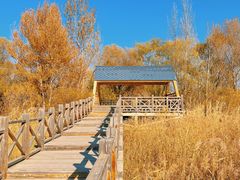 -野鸭湖国家湿地公园