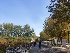 -东北大学(秦皇岛分校)