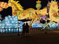 -淄博花灯齐彩城